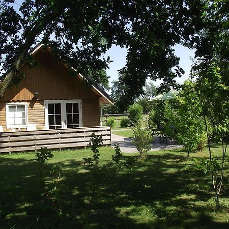 Vakantiehuis Scholekster Kollumerzwaag Exterior foto