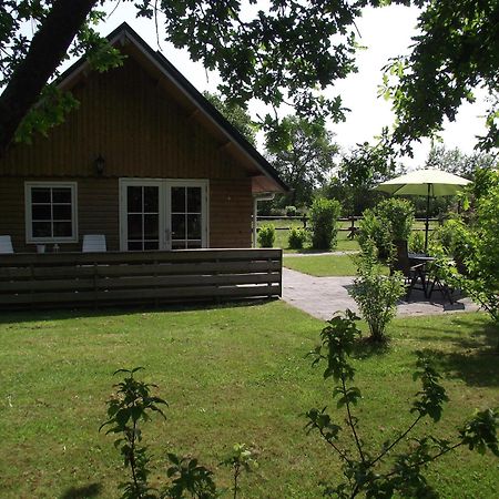 Vakantiehuis Scholekster Kollumerzwaag Exterior foto