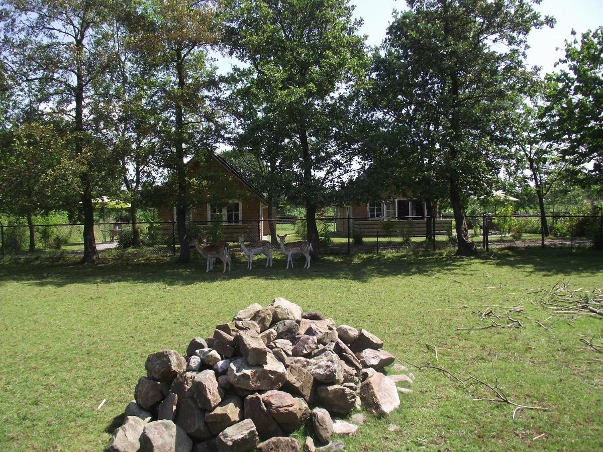 Vakantiehuis Scholekster Kollumerzwaag Exterior foto